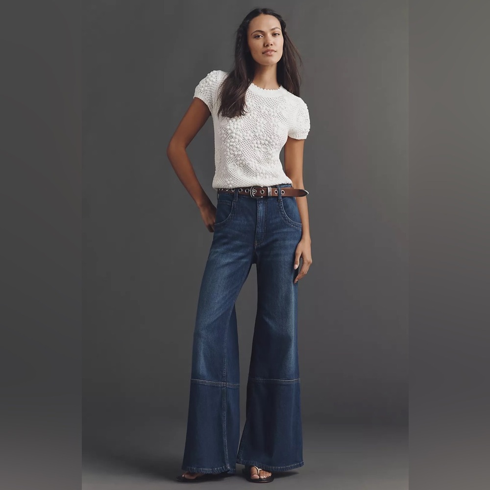 NWT! Anthropologie Pilcro High-Rise Flare Jeans - Size 30 Petite 👝